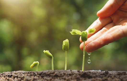 capacity building consultant Kenya