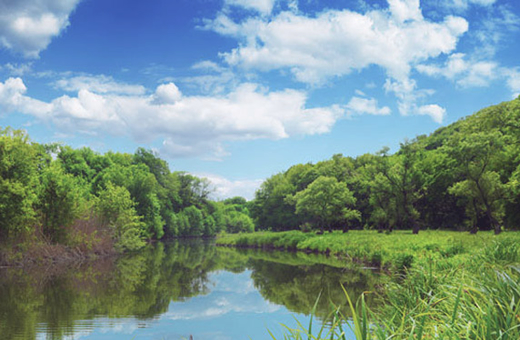 environmental audits in Kenya